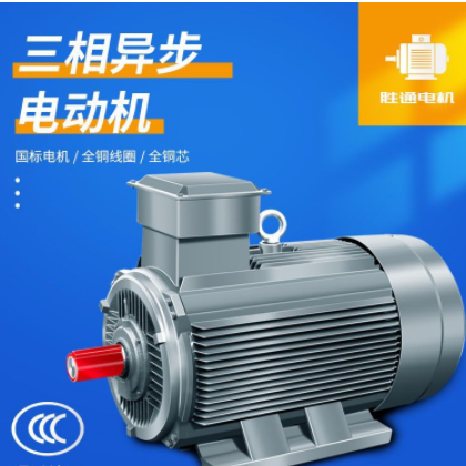11千瓦 15kw 22kw 30kw 2极4极6极变频电机 三相异步电动机马达图2