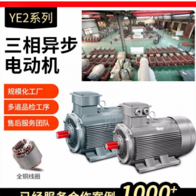 11 15 22 18.5 30 55 90千瓦4 6 8极380V变频电机三相异步 电动机