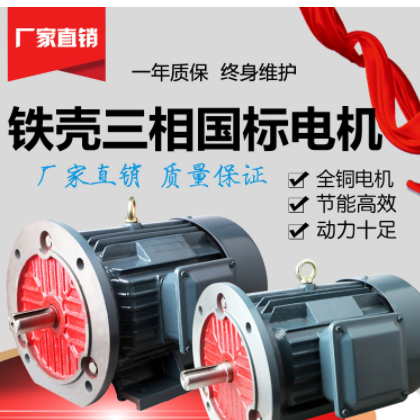 厂家直发三相异步电动机 YE2系列Y2 纯铜 11kw-4 YE2-160M-4图1