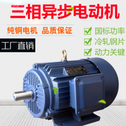 三相异步电动机交流 YE2系列Y2 纯铜 3kwYE2-100L1-2马达厂家直发图2