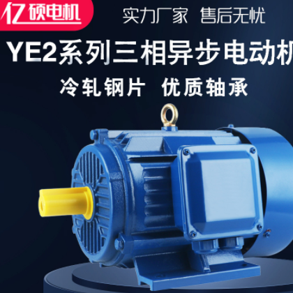 厂家直发三相异步电动机 YE2系列Y2 纯铜 1.5kw-6 YE2-100L-6图3