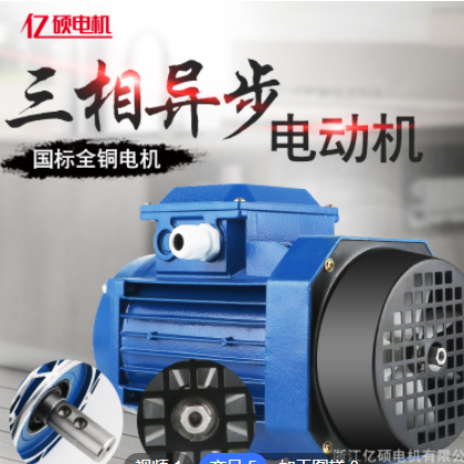 拉幕机电机马达 三相异步电动机0.75KW 0.55KW 1.5KW图2