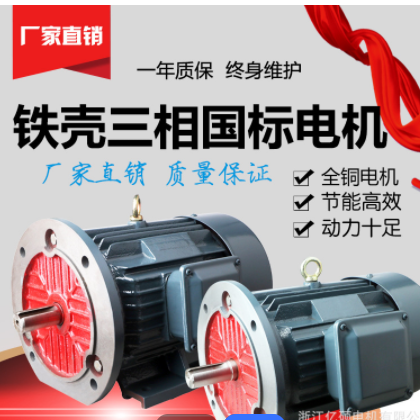 实力工厂 三相异步电动机交流电机 铝壳电机 MS/YE2/YS型号可定制图2