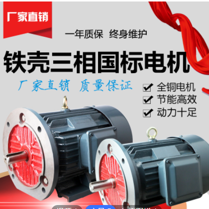 厂家直发三相异步电动机 YE2系列Y2 纯铜 30kw-4 YE2-200L-4图3