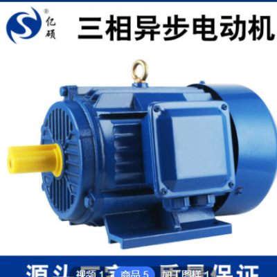 厂家直发三相异步电动机 YE2系列Y2 纯铜 3kw-4 YE2-100L2-4