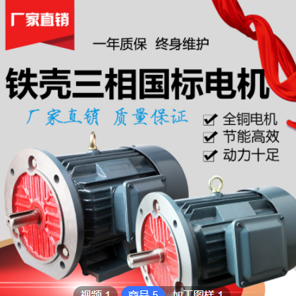 厂家直发三相异步电动机 YE2系列Y2 纯铜 3kw-4 YE2-100L2-4图2