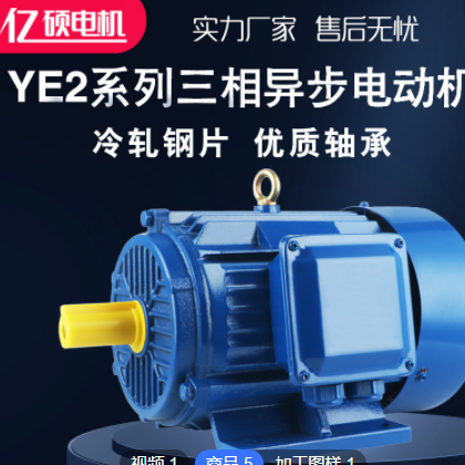三相异步电动机 YE2系列Y2 纯铜 55kw-4 YE2-250M-4 马达厂家直发图2