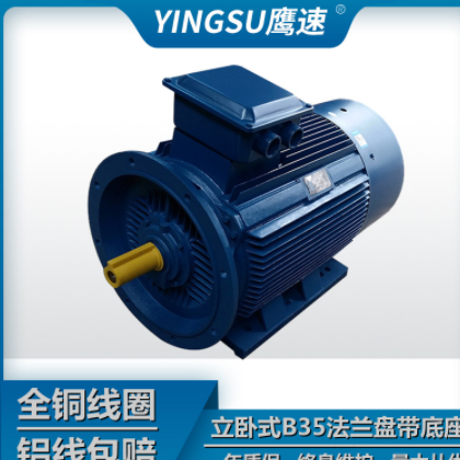供应Y280M-4级90KW三相异步电动机 全铜线马达YE3-315M-4级132 kw图2