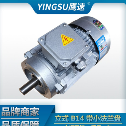 批发YS铝壳Y2-63M2-4级0.18KW三相异步电动机 马达 交流全铜图2