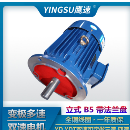 供应YD112M-4/2 3.3/4.0kw变极双速多速三相异步电动机马达YDT图2