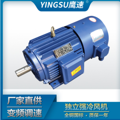 厂家直供YVP YVF2-355M-2级 250KW变频调速三相异步电动机315 千瓦图3