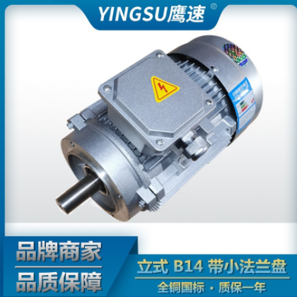铝壳三相异步电动机YS-71M2-6级 0.25kw马达全铜线圈 B14图2