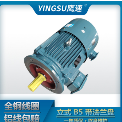 厂家直供YVF2-355M1-8级132KW变频调速三相异步电动机280M-8 9 0kw图3