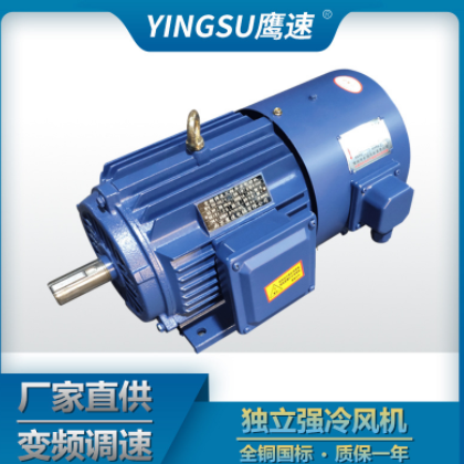 厂家批发YVP YVF200L1-2 30KW千瓦变频调速三相异步电动机马达图3