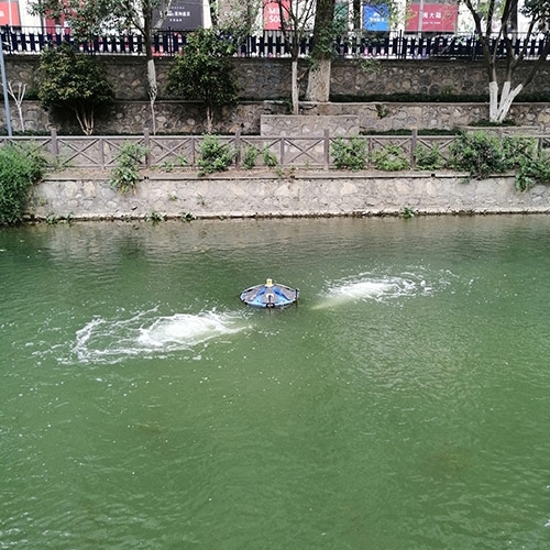 湖泊水治理