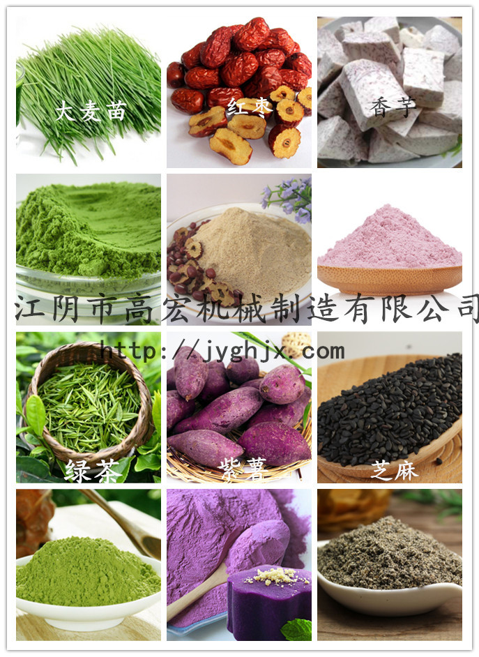大麦苗_副本