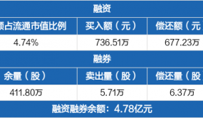 大洋电机：融资净买入59.27万元，融资余额4.56亿元（06-16）