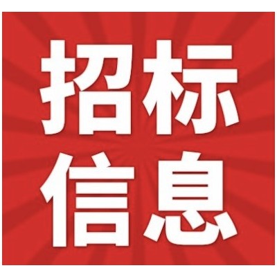 2024供电公司广东石化电机维保项目业务外包